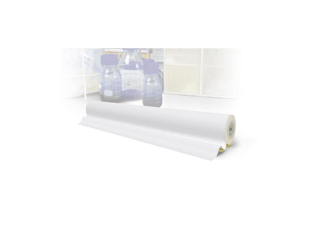 Blotting Membranes