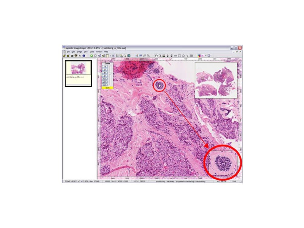 ImageScope