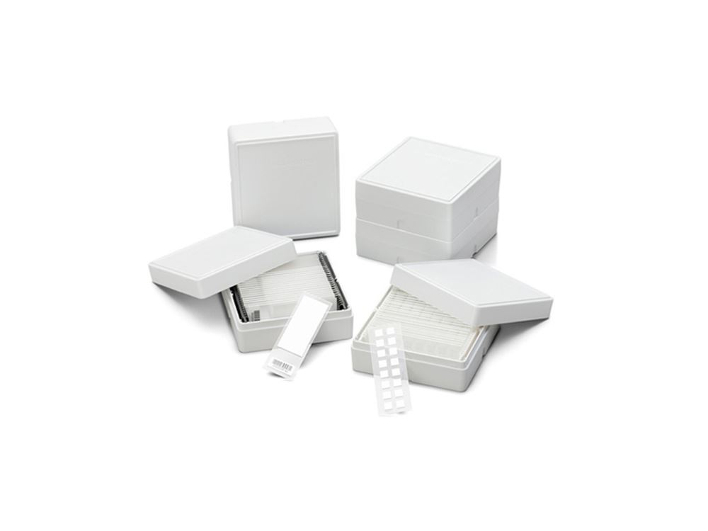 Diagnostic Membranes & Arrays