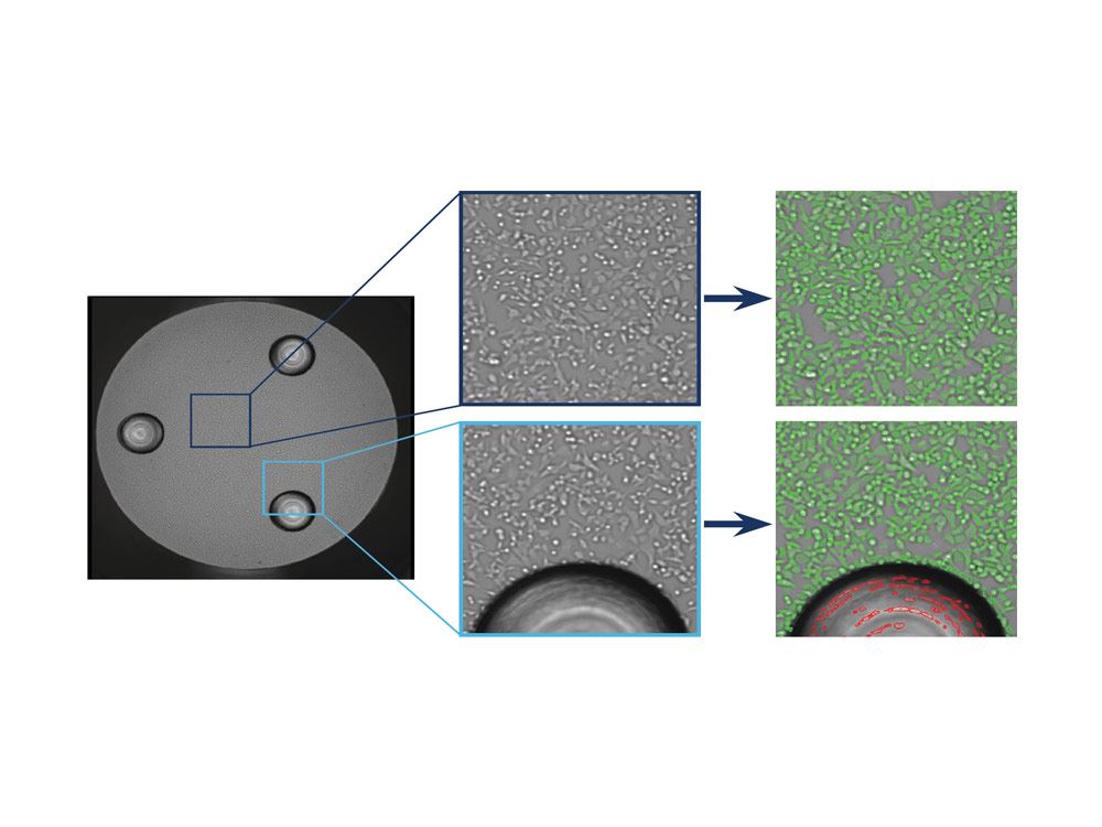 Seahorse XF Imaging and Normalization System